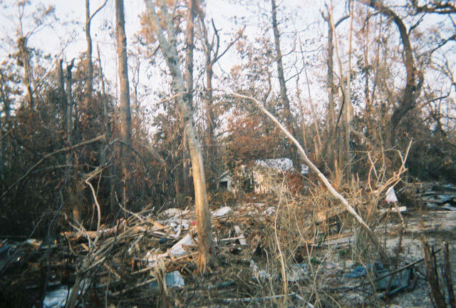 Looking North to The Showroom - Katrina Sept. 2005